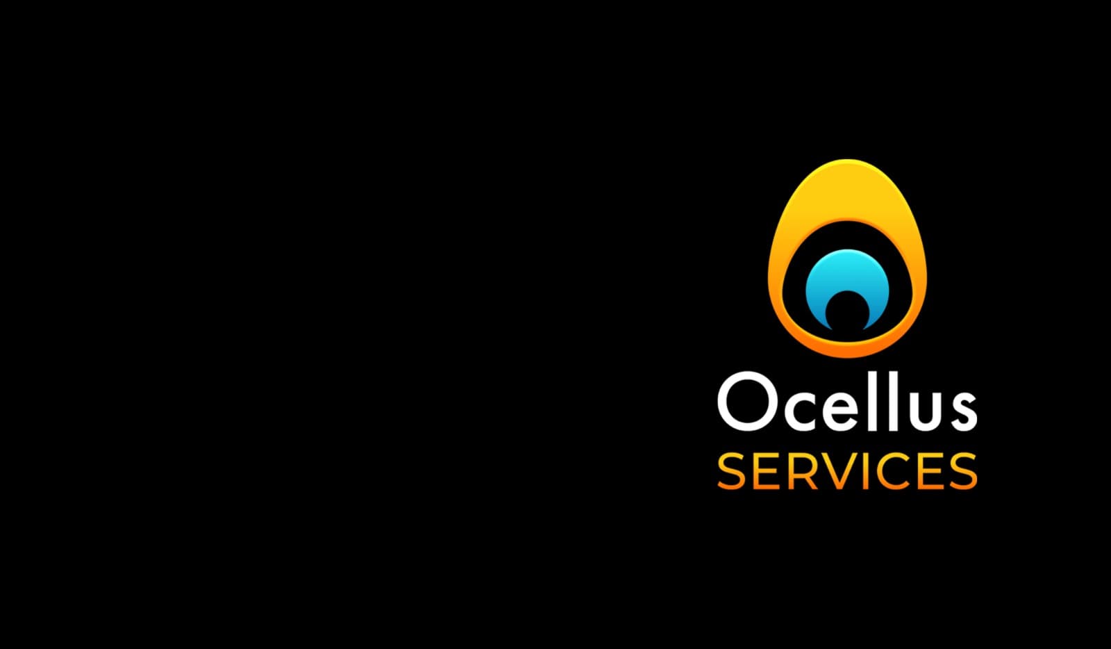 Ocellus sécurise un investissement de 4 millions d'euros auprès d'Elevation Capital Partners